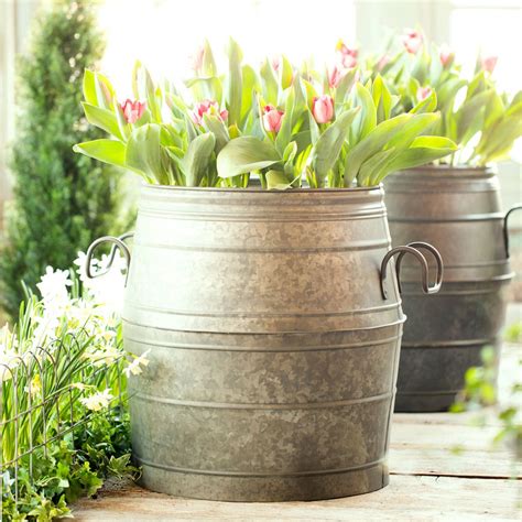 how to plant a house plant in a metal pot|growing plants in galvanized containers.